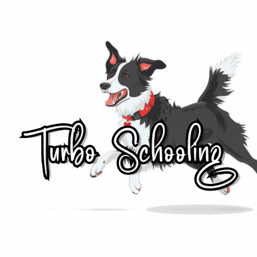 Turbo Schooling